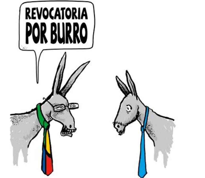 Desquiciado El Burro Hablando De Orejas Voces Nacionales